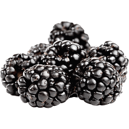 Blackberries