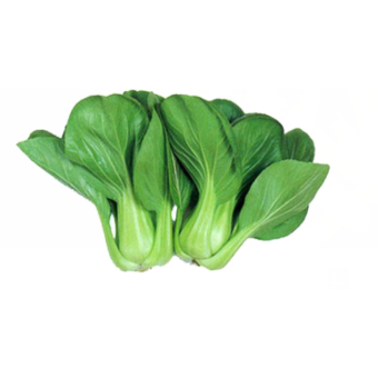 Chinese Vegies - Pak Choi