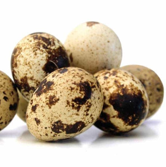 Eggs Farm Fresh Quail 18 Pack