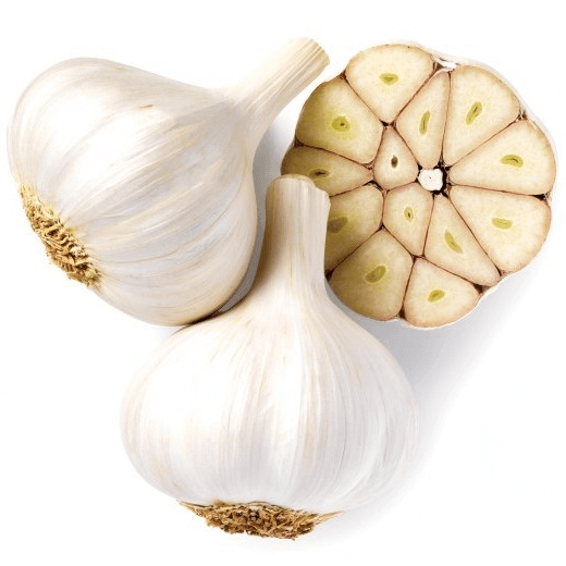 Garlic Bulb