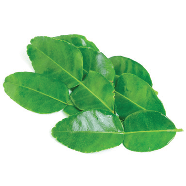 Keffir Lime Leaves