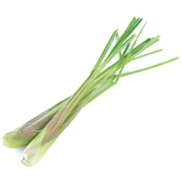 Lemongrass