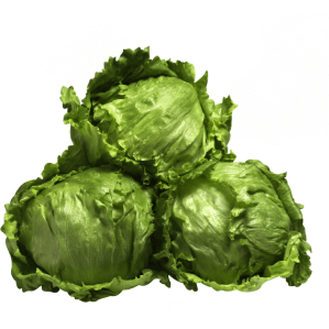 Lettuce Iceberg