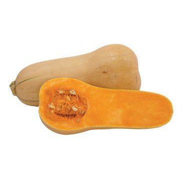 Pumpkin Butternut Whole