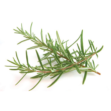 Rosemary
