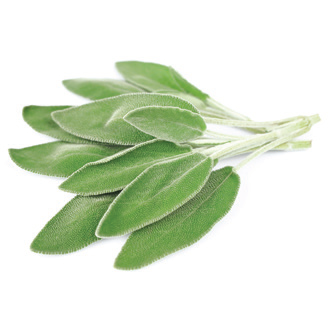 Sage