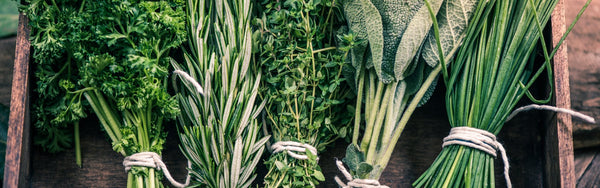 Herbs Fresh