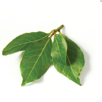 Bay Leaves