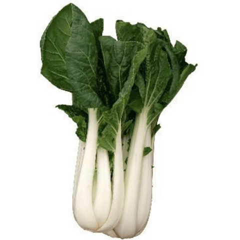 Chinese Vegies - Bok Choi
