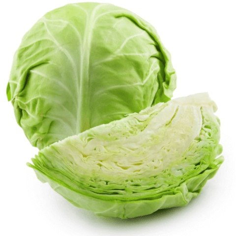 Cabbage Drumhead Quarter