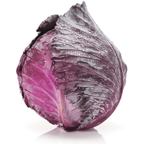 Cabbage Red Whole
