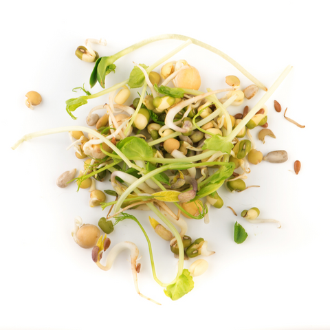 Sprouts Crunchy Combo