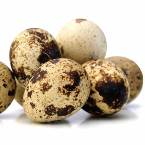 Eggs Farm Fresh Quail 18 Pack