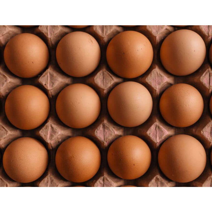 Eggs Free Range Jumbo 800gr Dozen