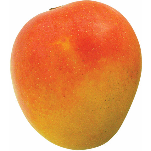 Mangoes R2E2 Tray of 9