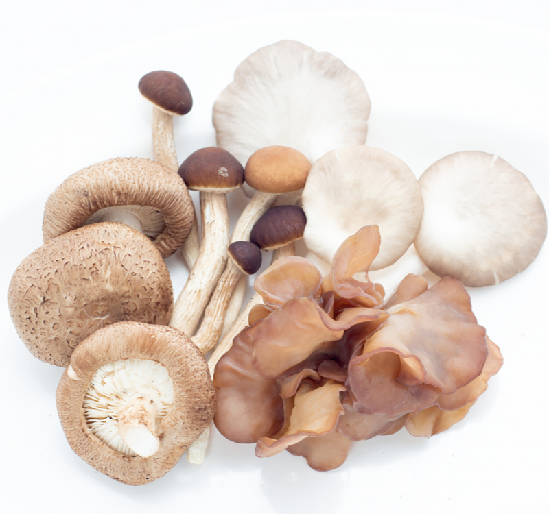 Mushrooms Exotic Mix