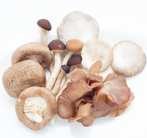 Mushrooms Exotic Mix