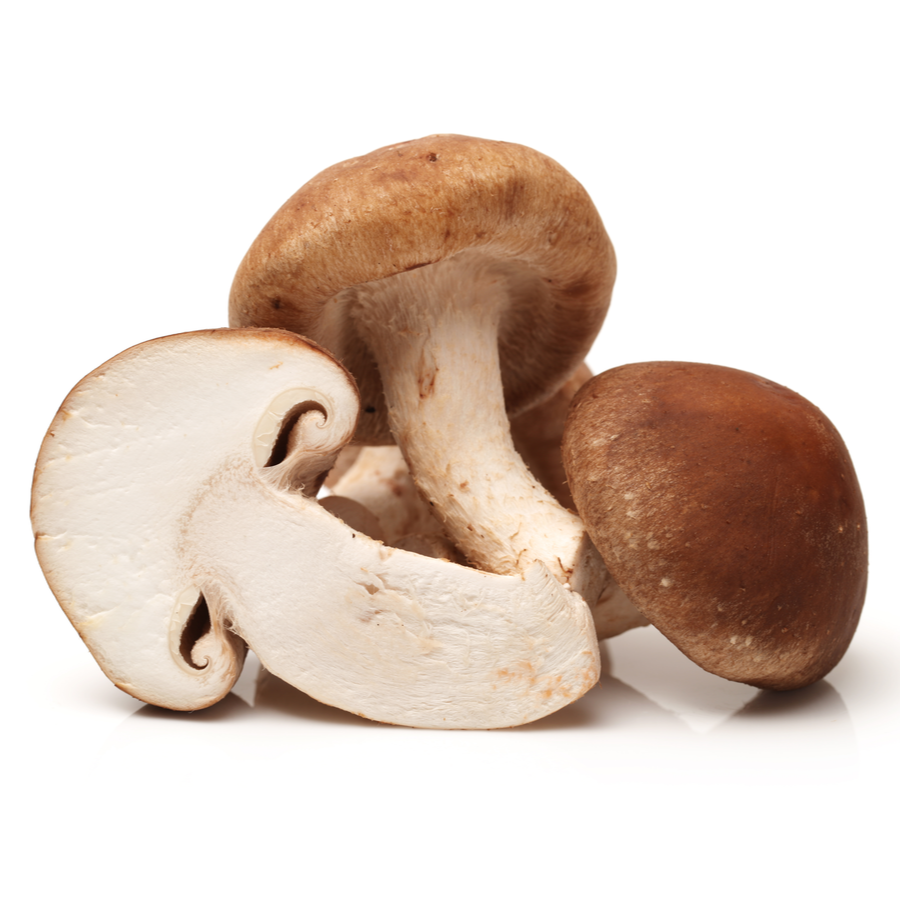 Mushrooms Shittaki