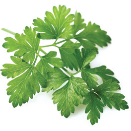 Parsley Continental