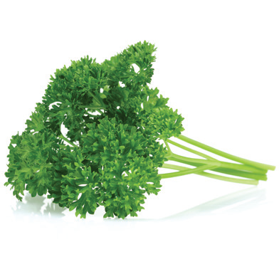 Parsley Curly
