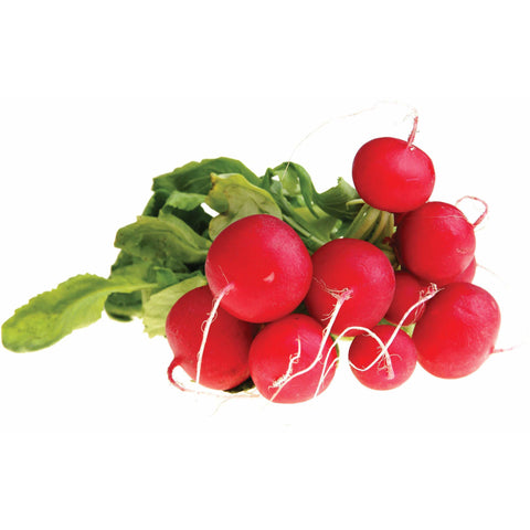 Radish