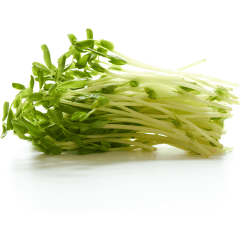 Sprouts Snow Pea