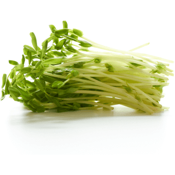 Sprouts Snow Pea – Fresh Sensations Online