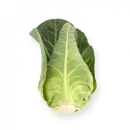 Cabbage Sugarloaf Whole