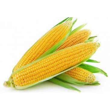 Corn Each