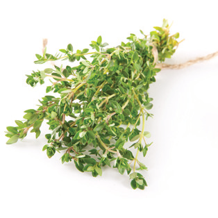 Thyme