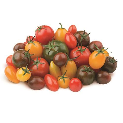Tomato Medley