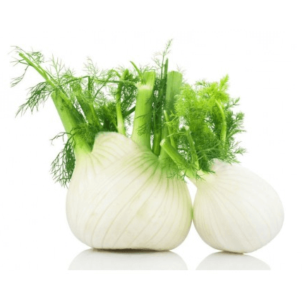 Fennel